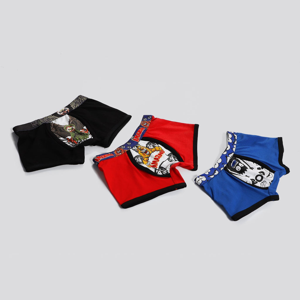 Boy's underwear "Boxer party" (pack of 3)