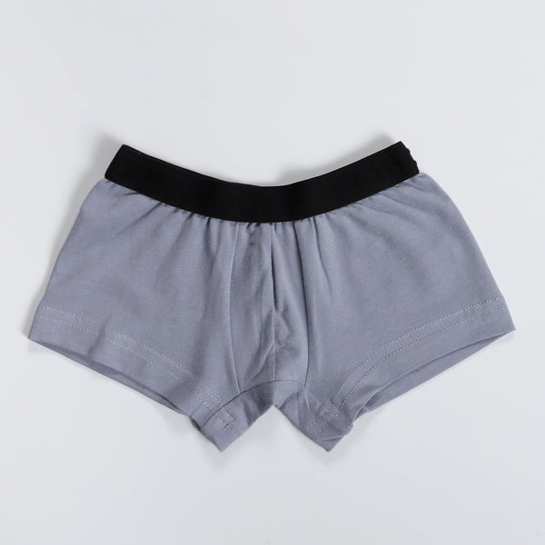 Boy's Plain Boxer-Silver